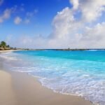 15 BEST Things To Do in Cozumel, Mexico